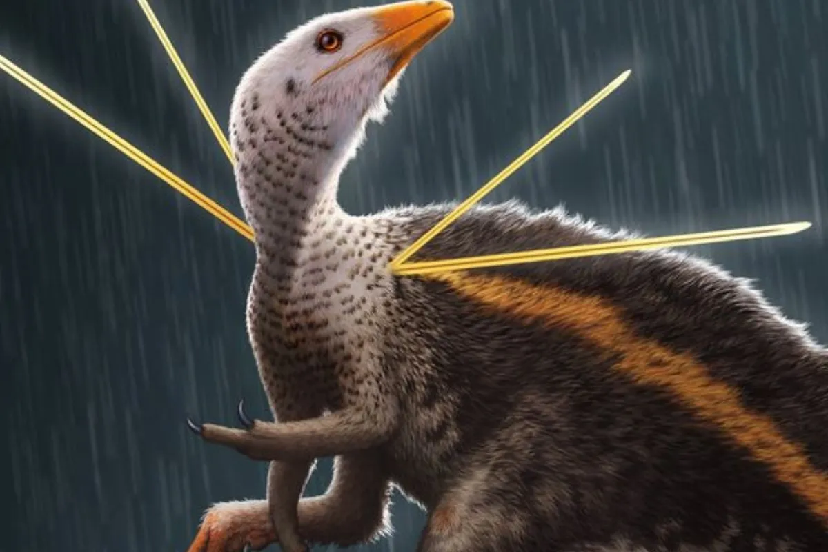 Gambar Diinosaurus