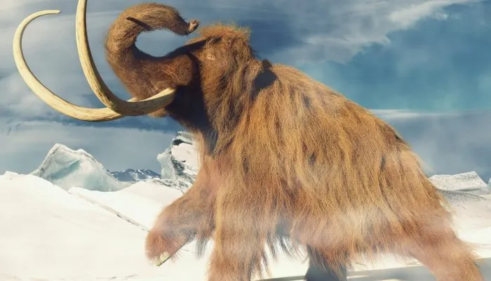 Gambar Mammoth berbulu