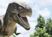10 Fakta Dinosaurus, Hewan Purba dari 65 Juta Tahun yang Lalu