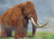 5 Fakta Unik Mammoth Berbulu, Gajah Raksasa Zaman Purba