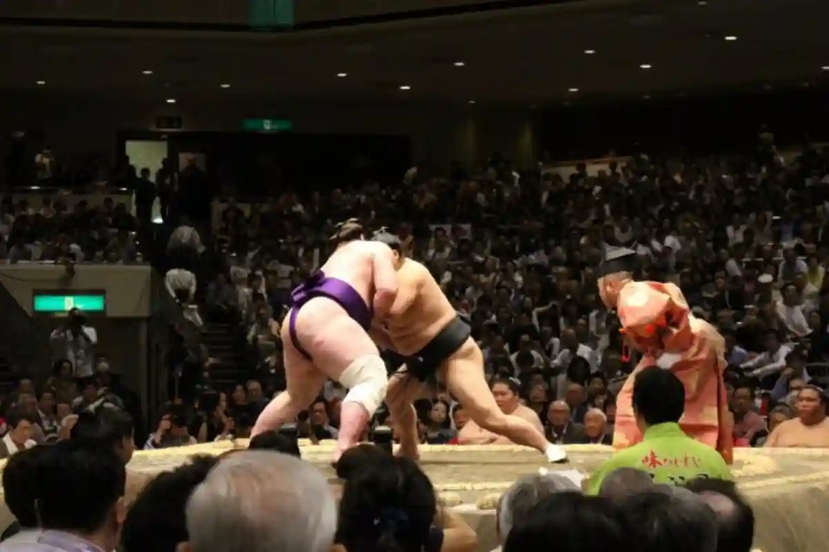 olahraga Sumo.