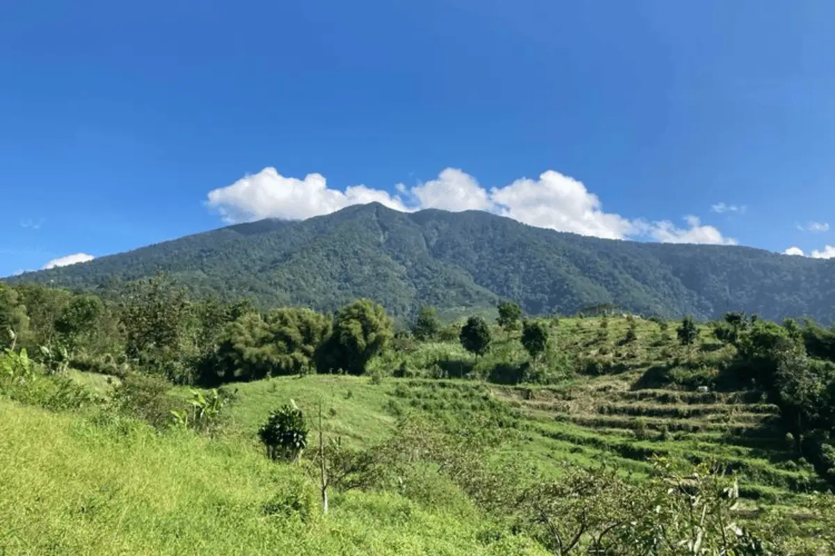 Gunung salak