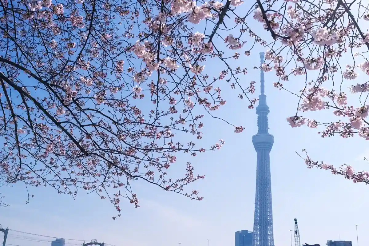 menara ikonik Tokyo