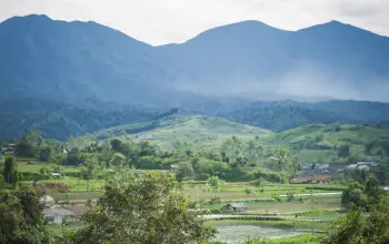 Mitos Gunung Gede Pangrango: Menelusuri Jejak Mistis di Balik Pesona Edelweis-nya