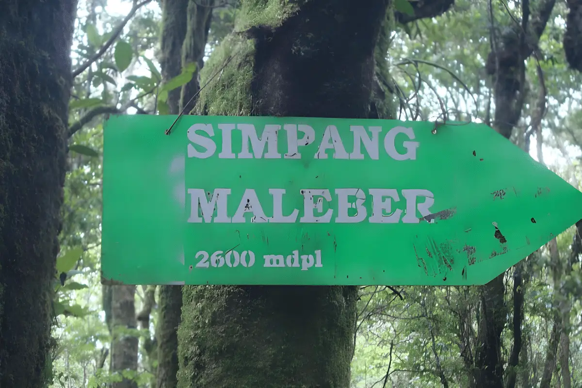 Simpang malebar. 