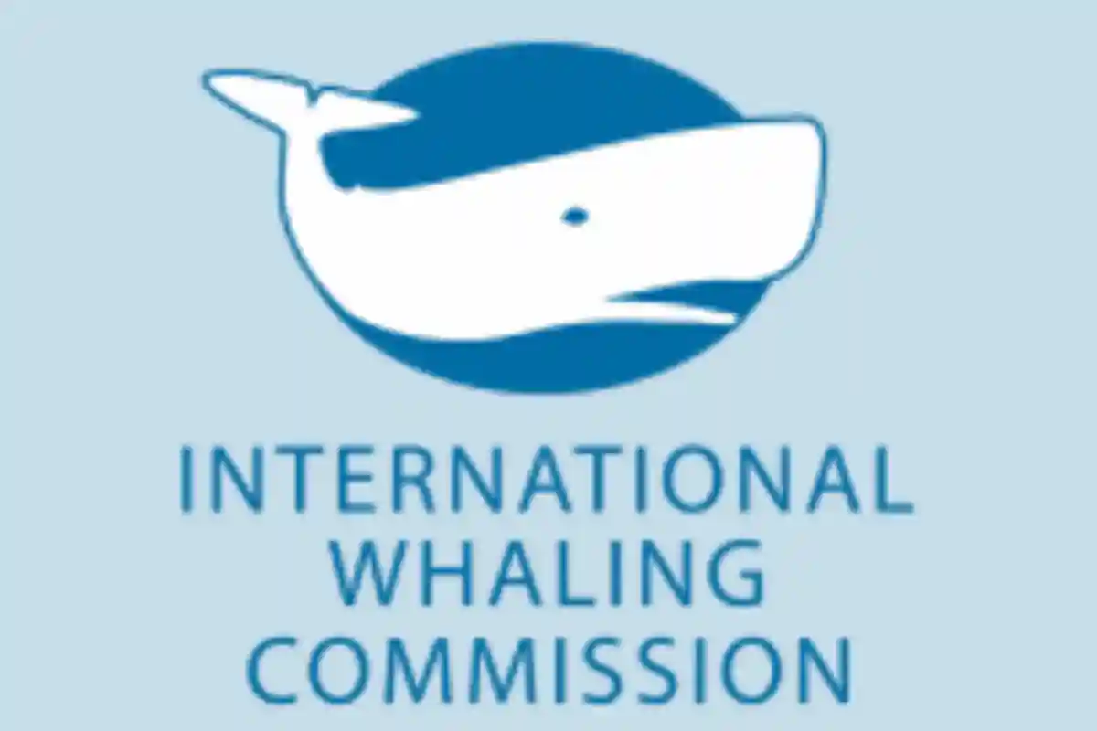International Whaling Commission.