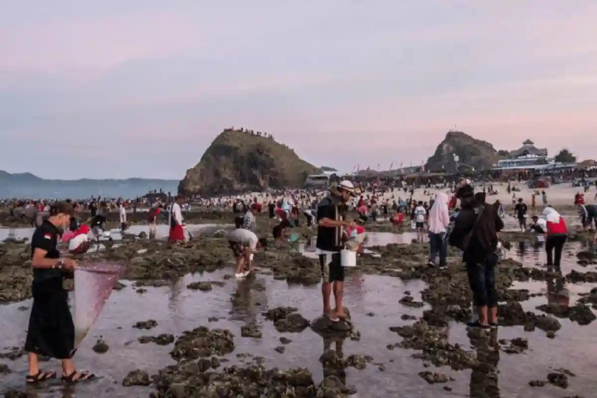 Pengaruh Tradisi Bau Nyale Memiliki Dampak Besar Bagi Perekonomian Pariwisata Lombok