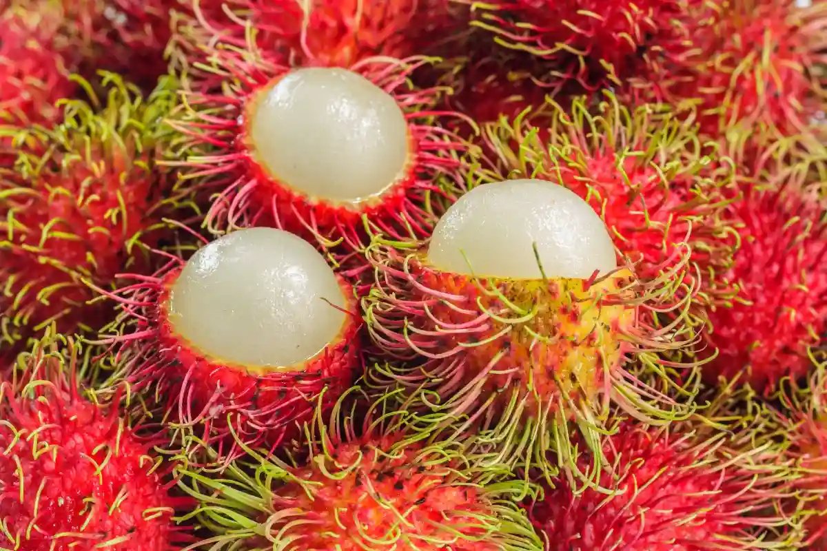 Rambutan Parakan