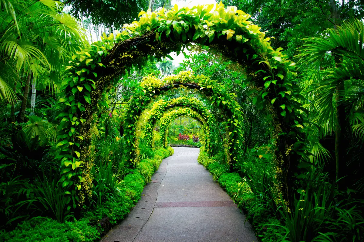 Singapore Botanic Gard