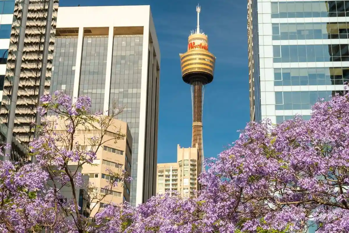 Sydney Tower eye