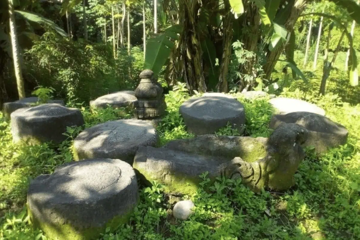 Hutan Gamelan dan Bingungan.