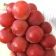 Anggur Ruby Roman, Anggur Termahal di Dunia Hasil “Buatan Manusia”