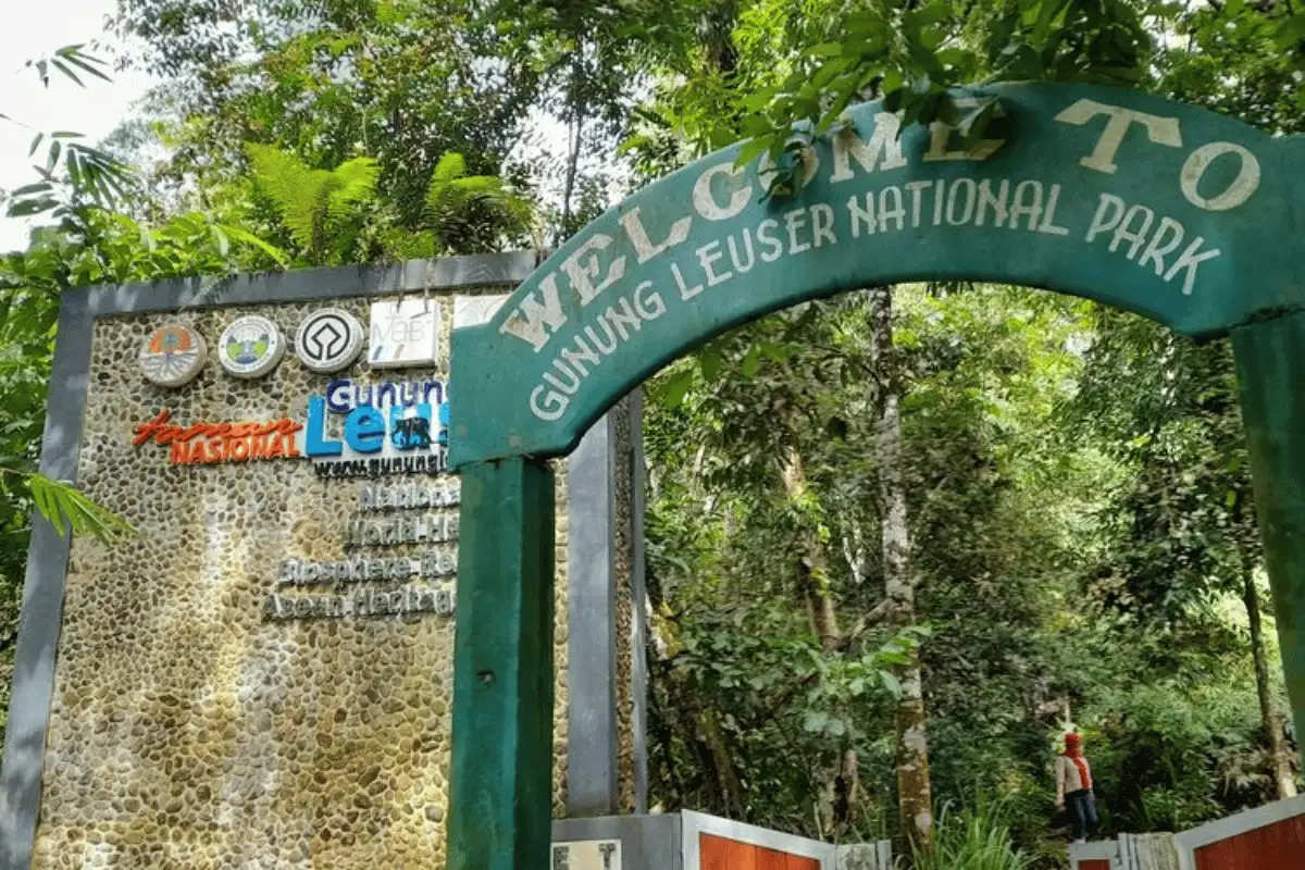 Taman Nasional Gunung Leuser