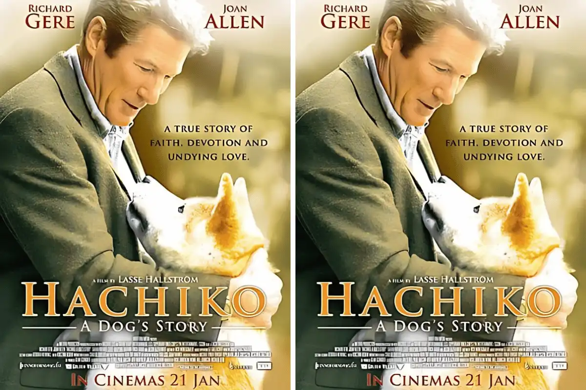 Hachi A Dog’s Tale