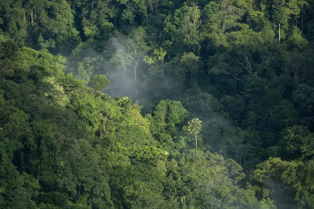 Tokoh Lingkungan Hidup Indonesia