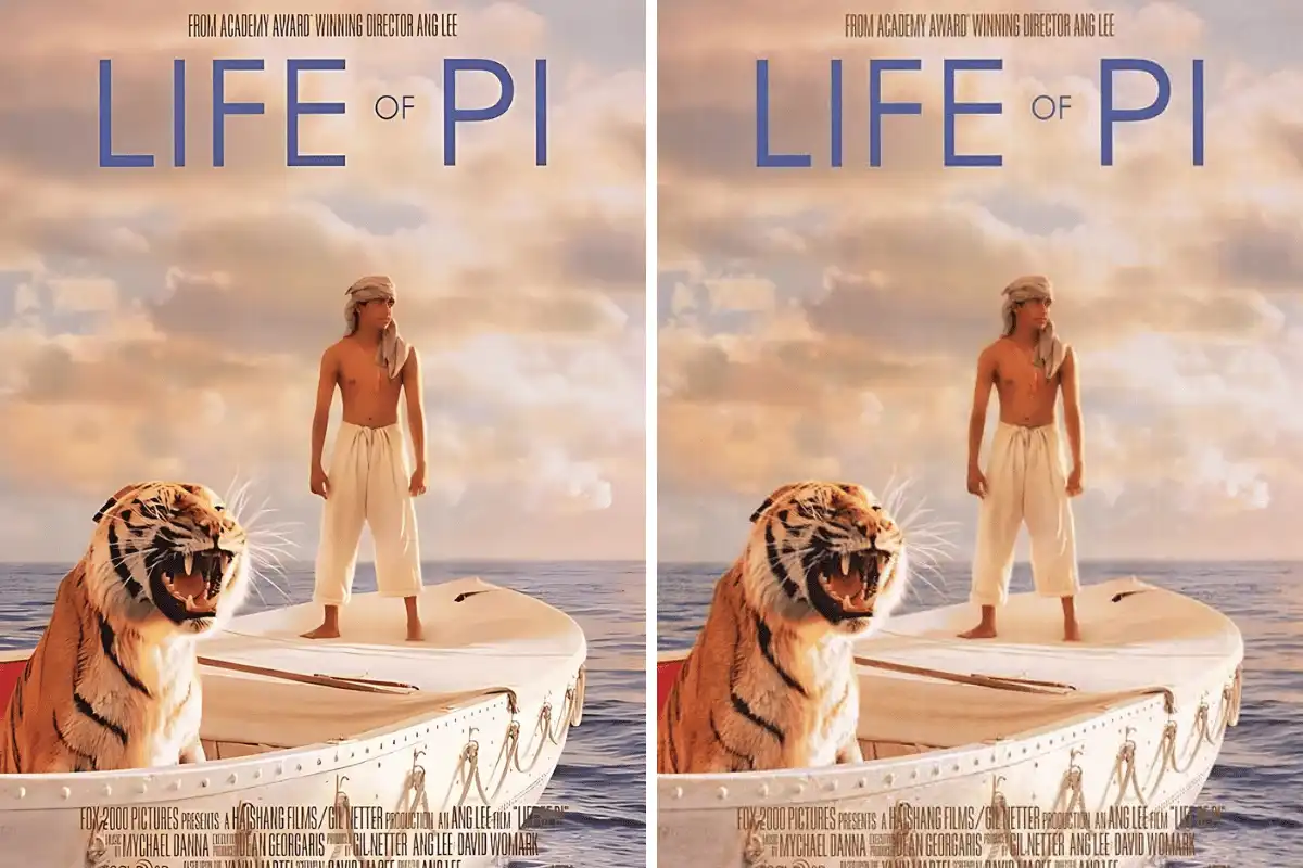 Life of Pi