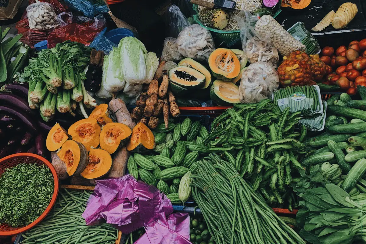 Mengapa Tumbuhan Sangat Bermanfaat bagi Manusia_