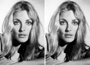 Sharon Tate, Artis Hollywood yang Dibunuh saat Hamil Delapan Bulan