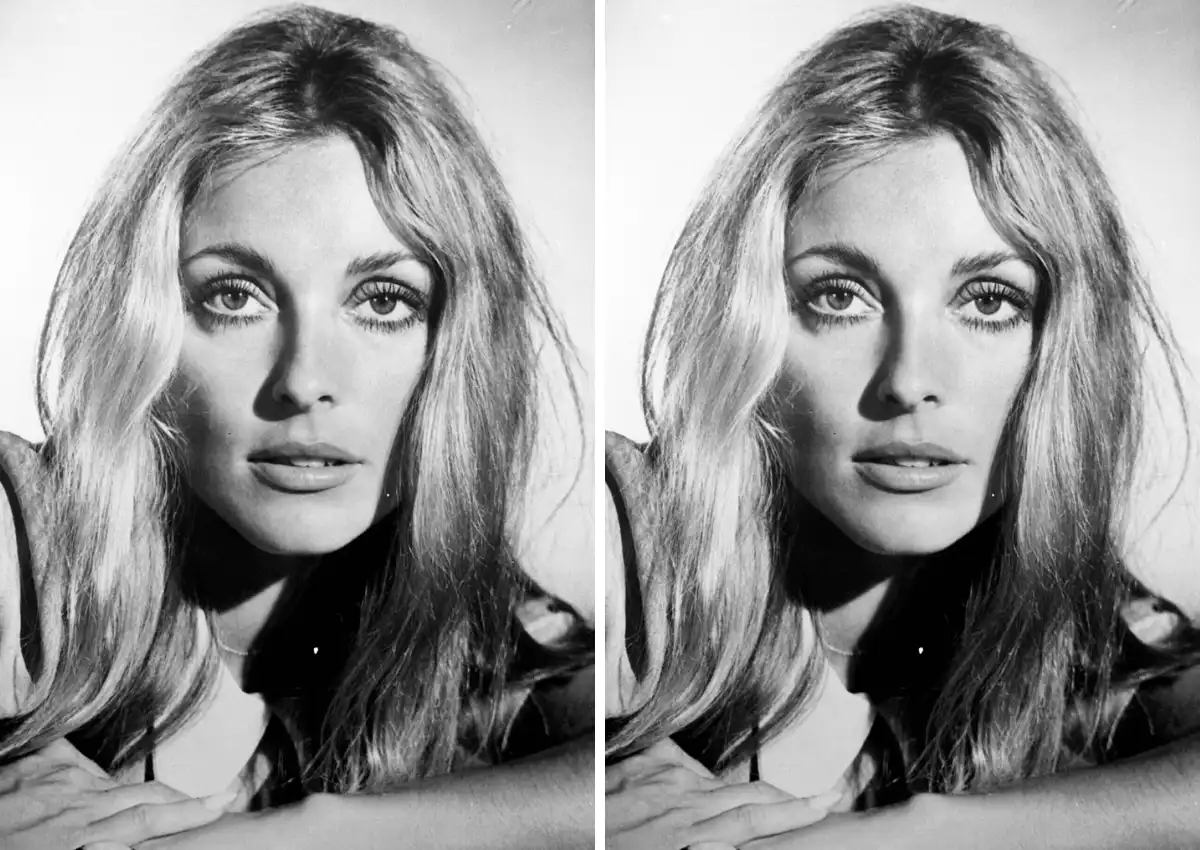 Sharon Tate