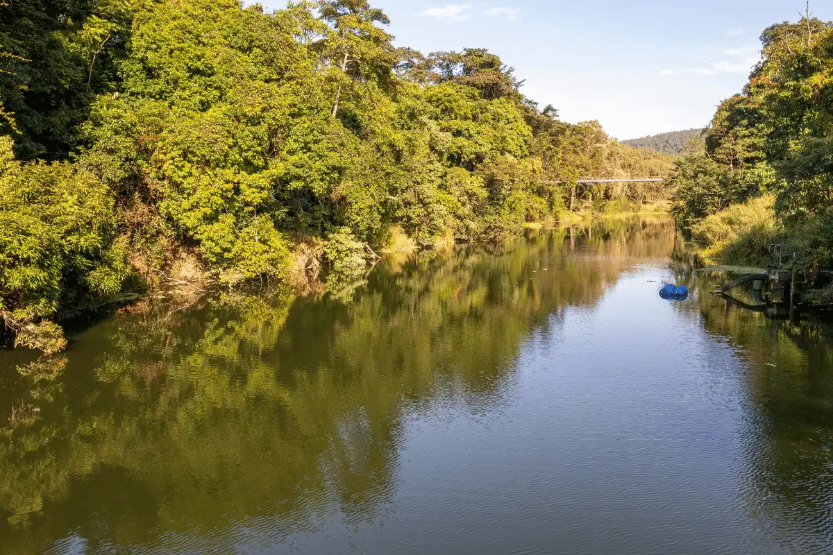 sungai yang ada di tengah-tengah