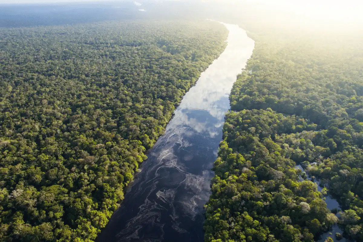 Sungai Amazon.