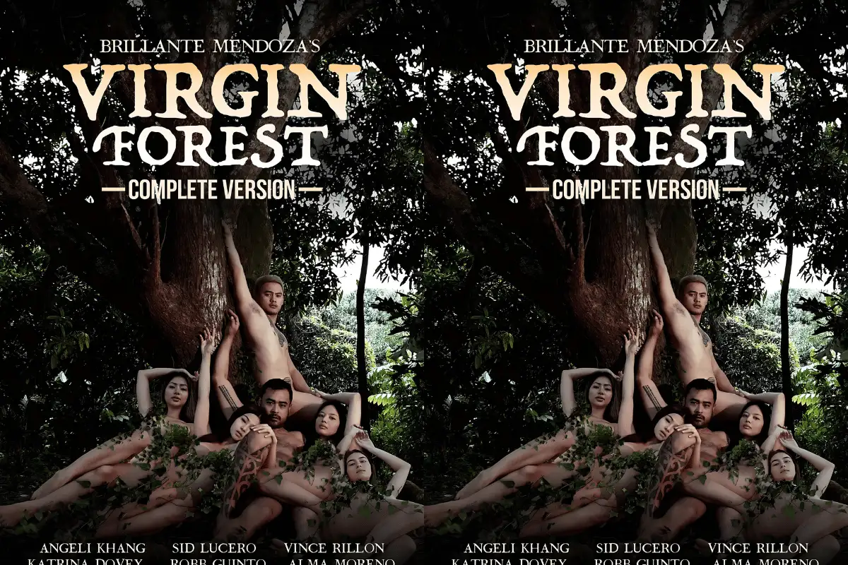 Virgin Forest